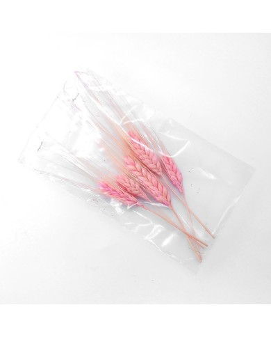 Kurutulmuş Çiçek - Kuru Başak Otu