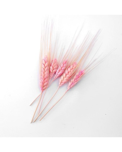 Kurutulmuş Çiçek - Kuru Başak Otu