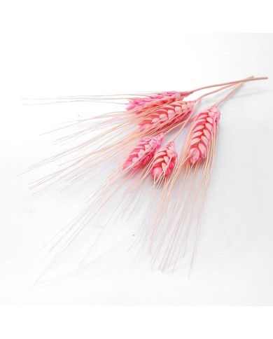 Kurutulmuş Çiçek - Kuru Başak Otu