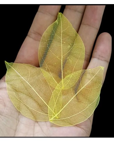 5li Kumaş Yaprak - Sarı 5li Kumaş Yaprak - Sarı