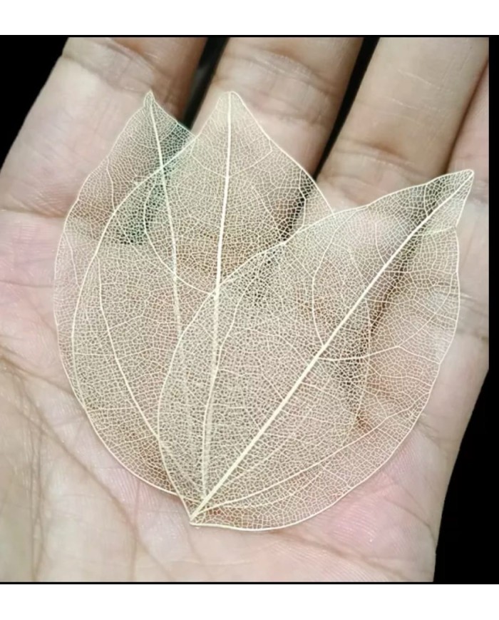 Kumaş Yaprak -Bej - 3 Adet