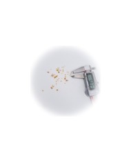 5D Renkli Mini Sarı Papatya