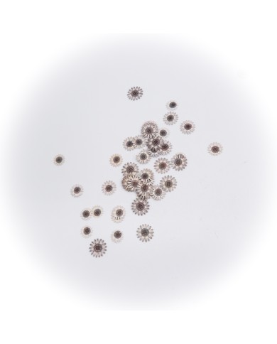 5D Renkli Mini Çiçek Naturel Renk