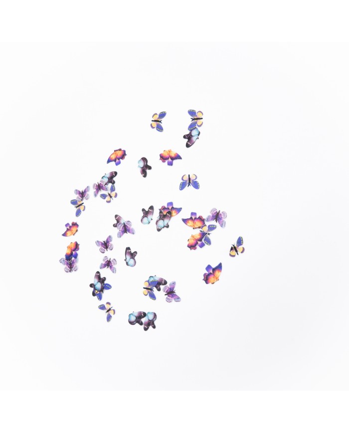 5D Renkli Mini Kelebek Gökkuşağı