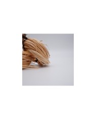 Yassı Rattan Doğal Bambu Çubuk 1 KG Brüt - 2mm Rattan İp