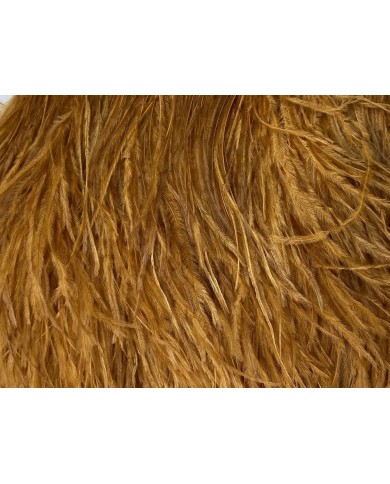 Deve Kuşu Tüyü Taba Rengi 10 Metre