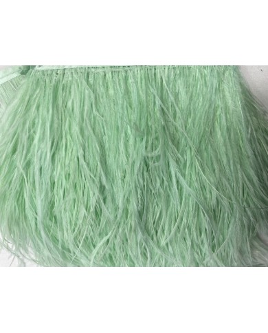 Deve Kuşu Tüyü Mint 10 Metre