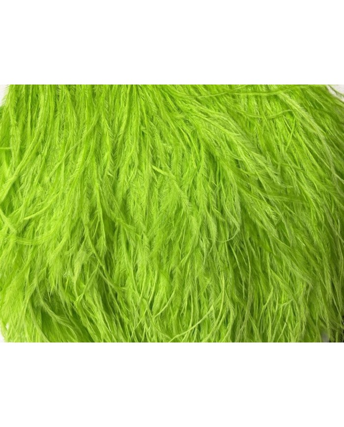 Deve Kuşu Tüyü Fıstık Yeşili 10 Metre