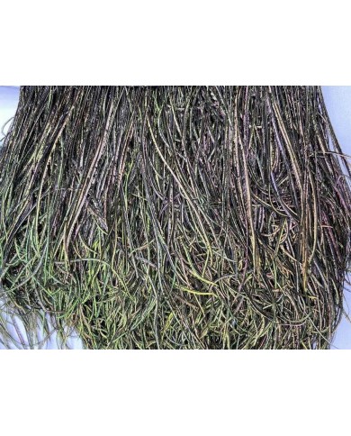 Deve Kuşu Tüyü Tavus Rengi 10 Metre