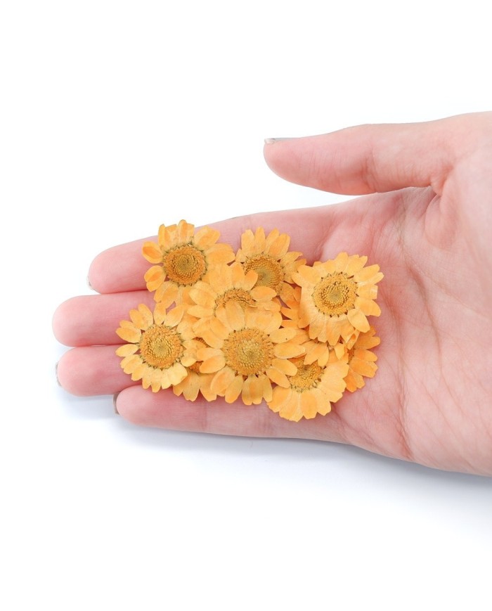 Kurutulmuş Papatya - Oranj 5 Adet