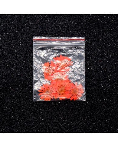 Kurutulmuş Papatya - Turuncu 5 Adet