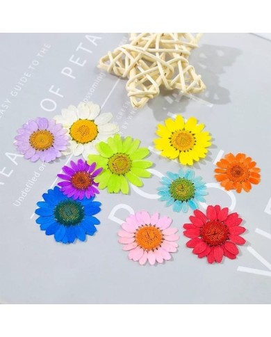 Kurutulmuş Papatya - Yumurta Sarı 5 Adet