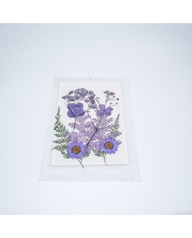 Lila Kuru Çiçek Papatya Dal Cipso Set