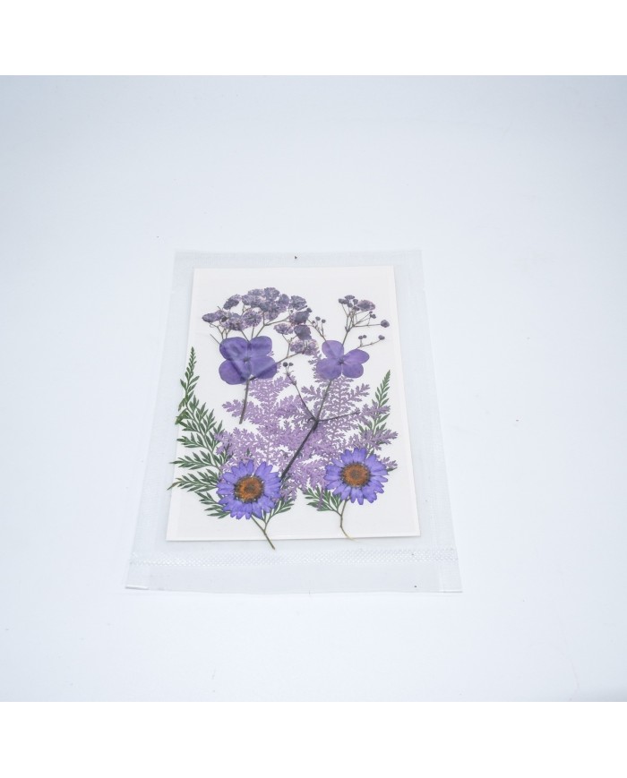 Lila Kuru Çiçek Papatya Dal Cipso Set