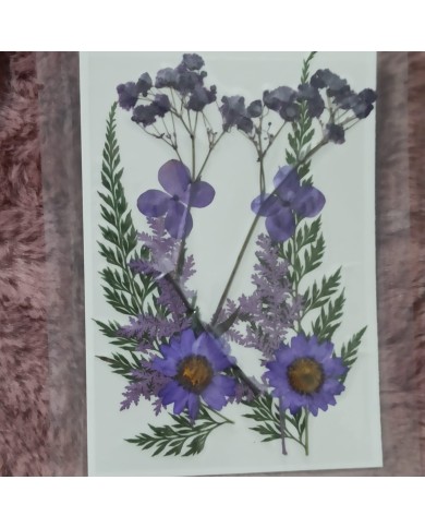 Lila Kuru Çiçek Papatya Dal Cipso Set