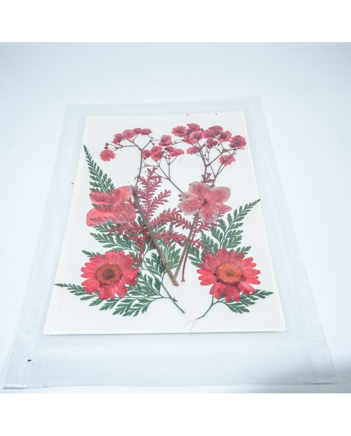 Kırmızı Kuru Çiçek Papatya Dal Cipso Set