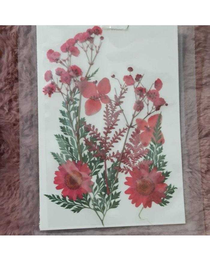 Kırmızı Kuru Çiçek Papatya Dal Cipso Set