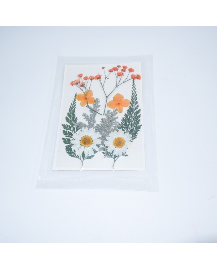 Turuncu Kuru Çiçek Papatya Dal Cipso Set