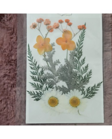 Turuncu Kuru Çiçek Papatya Dal Cipso Set