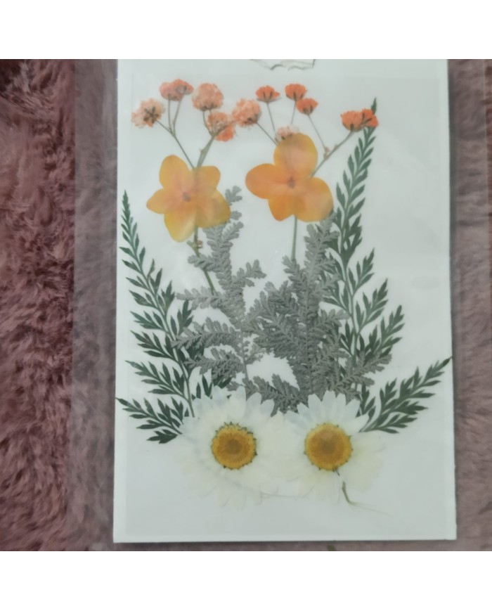 Turuncu Kuru Çiçek Papatya Dal Cipso Set