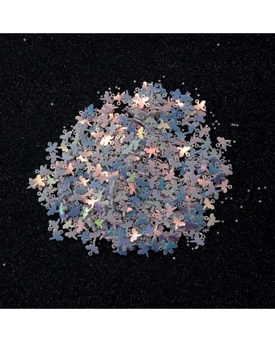 Kelebek Pleksi Pul -1kg - Hologram