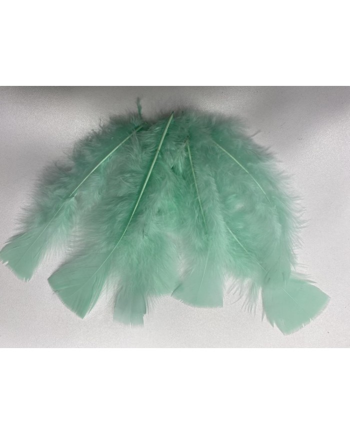 50 Adet - Tek Kaz Tüyü Su Yeşili