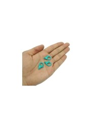 Papağan Klips - Turkuaz - 5 Adet