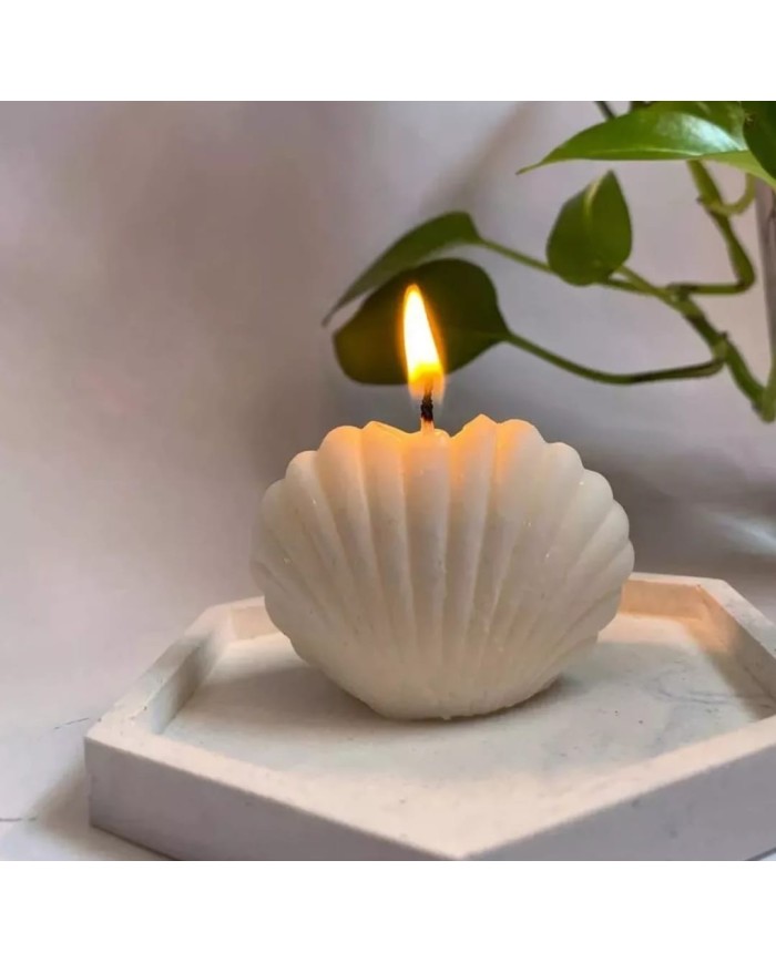 Küçük İstiridye Mum Kalıbı - Hobi Silikon Kalıbı -Kod:1059 Küçük