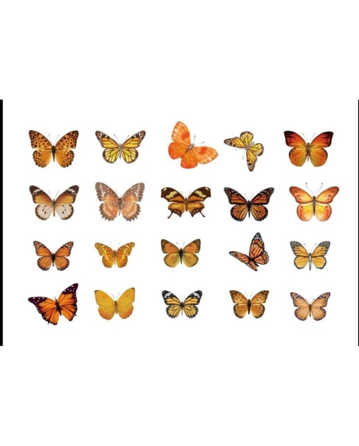 1 Paket - Kelebek Sticker
