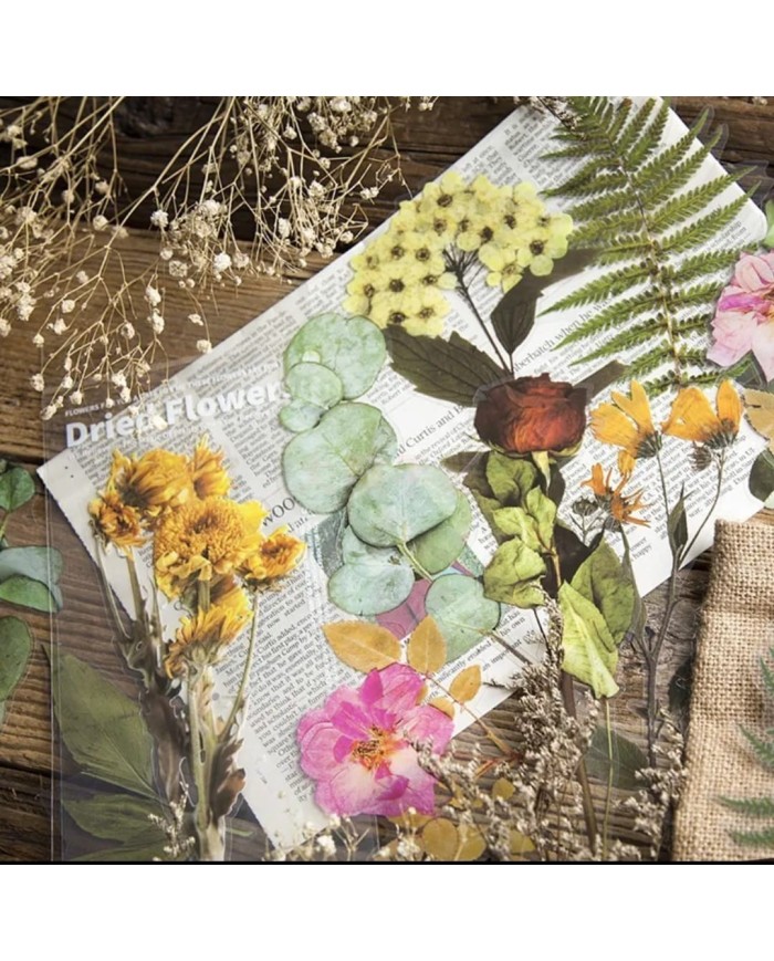 1 Paket - Sarı Papatya Sticker
