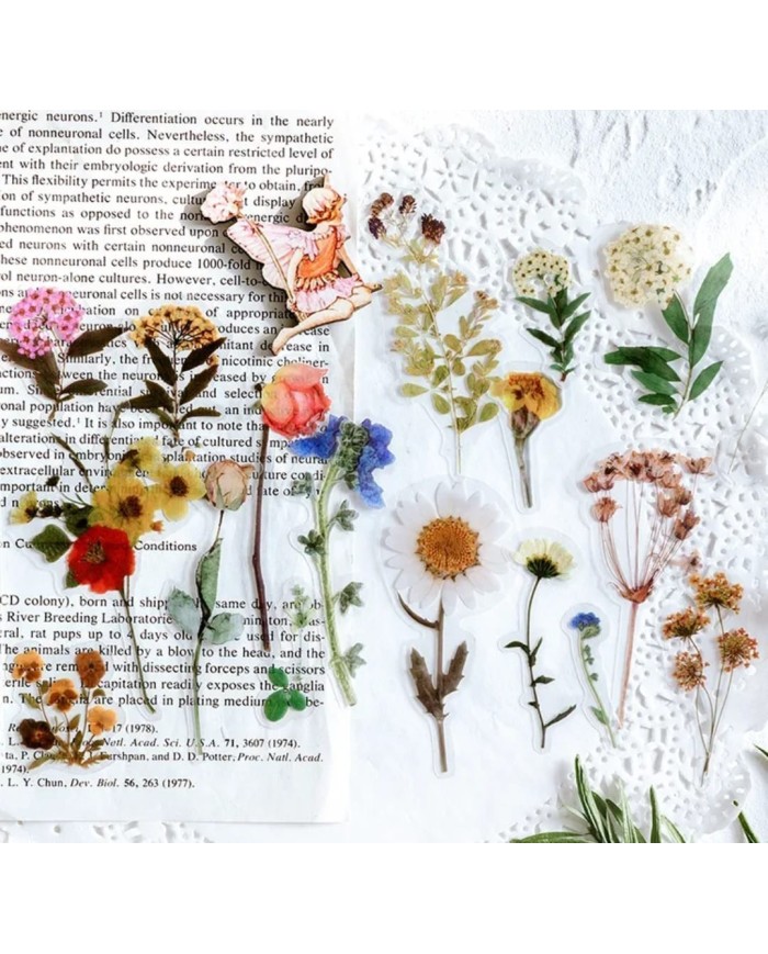 1 Paket - Mix Açık Pembe Çiçek Sticker