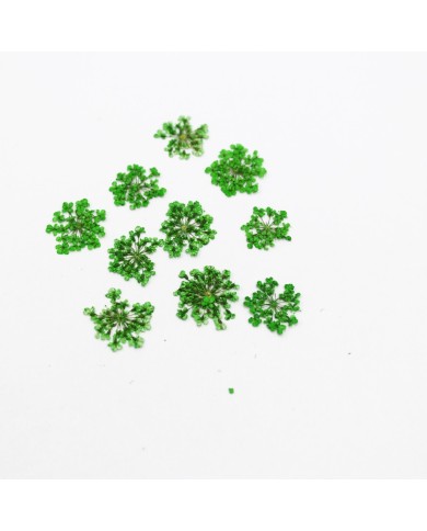 Sultan Otu - Kurutulmuş Çiçek - yeşil - 10 adet Sultan Otu - Kurutulmuş Çiçek - yeşil - 10 adet