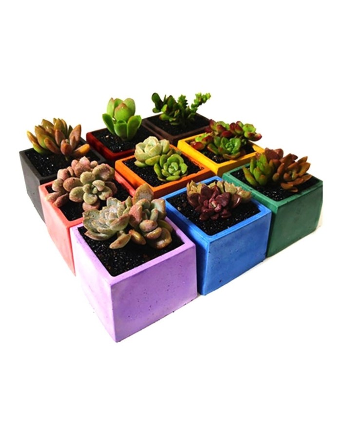 Kod:3360 - Beton Tozu Kiremit 30Kg