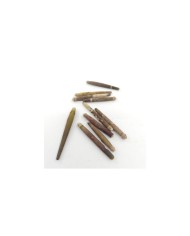 Deniz Kestanesi Dikeni - 25 Gr