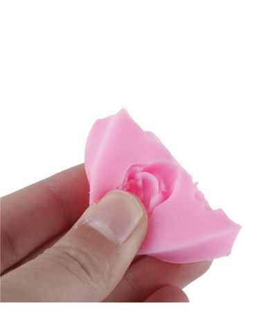 Gül Yaprakları Silikon Kalıp