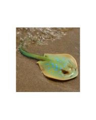 Yapay Mavi Benekli Vatoz Balığı