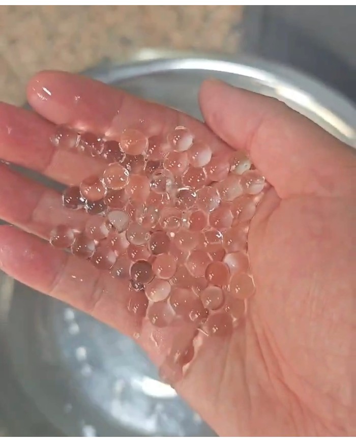 Su Maymuncuğu - Mum Dekoru - 1 Paket