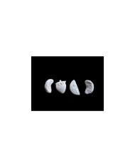 Mini Meyve Figürler Epoksi ve Beton Kalıp - Kod: