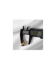 Kelebek Şeklinde Zirkon Taşlı Altın Takı Kapama - 23x31mm