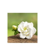 Tomurcuk Gül Çiçeği Epoksi Mum ve Beton Kalıbı - Kod: 1275