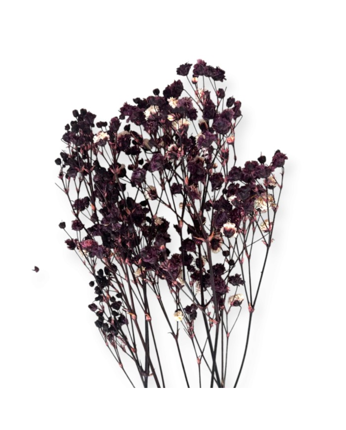 Şoklanmış Pıtırcık Kuru Çiçekler - Mini demet