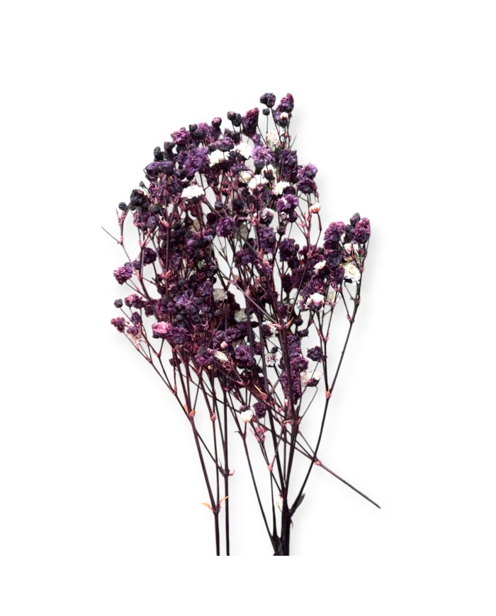 Şoklanmış Pıtırcık Kuru Çiçekler - Mini demet