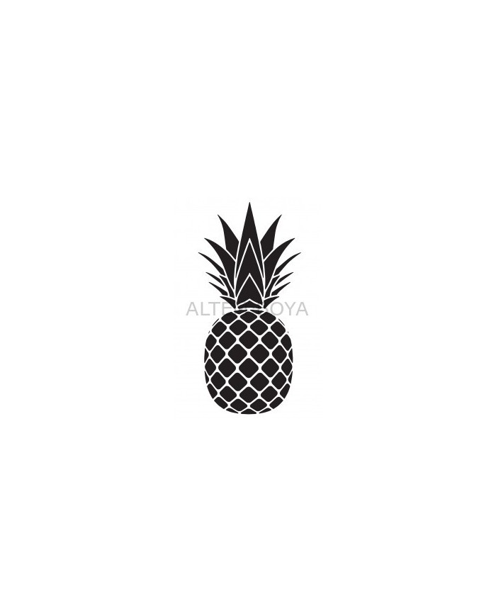 O136- Ananas Stencıl 10*15 cm