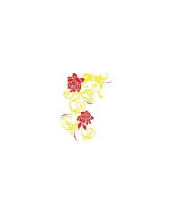 Özel Simli Transfer 25*35 cm ÖSD-109