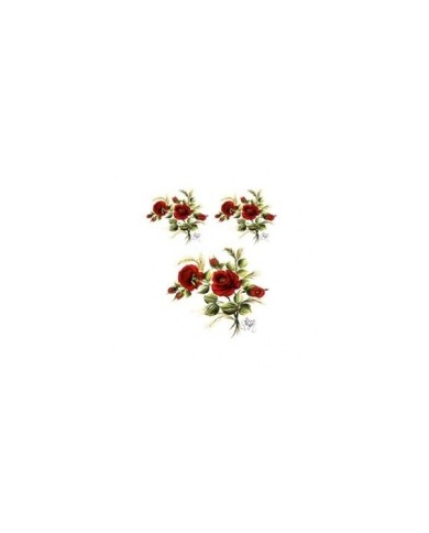 Gülsün Ülkü 17*25 G-02