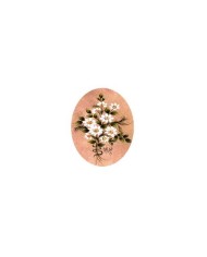 Gülsün Ülkü 17*25 G-03