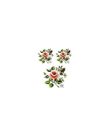 Gülsün Ülkü 17*25 G-04