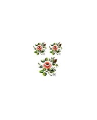 Gülsün Ülkü 17*25 G-04
