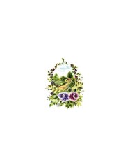 Gülsün Ülkü 17*25 G-09