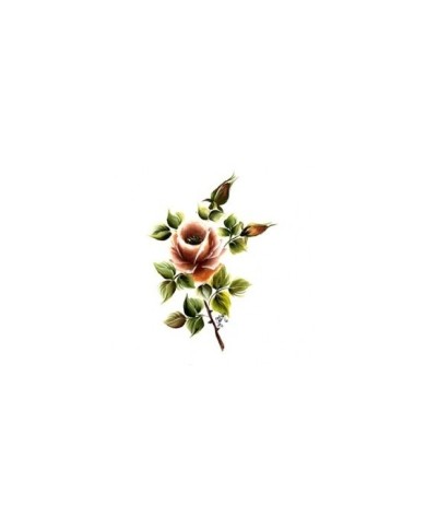 Gülsün Ülkü 17*25 G-10